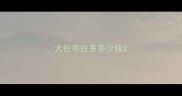 大拉布拉多多少钱