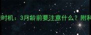 幼犬外出最佳时机3月龄前要注意什么附科学遛狗指南