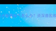 满月哈士奇幼犬肠胃胀气怎么办资深兽医教你3招快速缓解