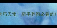 3个月从暴脾气到乖巧天使新手养狗必看的10个训犬黄金法则