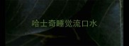 哈士奇睡觉流口水