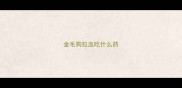 金毛狗拉血吃什么药