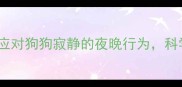 深夜养宠指南如何应对狗狗寂静的夜晚行为科学睡眠与情感陪伴全