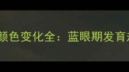 哈士奇幼犬眼睛颜色变化全蓝眼期发育规律与饲养指南