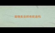 宠物美容师有前途吗