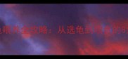 新手必看宠物龟喂养全攻略从选龟到喂食的8大要点附避坑指南