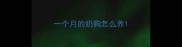 一个月的奶狗怎么养