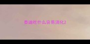 泰迪吃什么容易消化