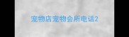 宠物店宠物会所电话