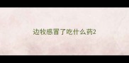 边牧感冒了吃什么药