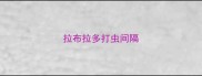 拉布拉多打虫间隔