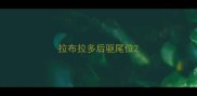 拉布拉多后驱尾位