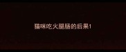 猫咪吃火腿肠的后果