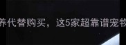 福州人必看免费领养代替购买这5家超靠谱宠物救助中心清单来啦