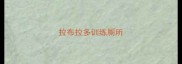 拉布拉多训练厕所