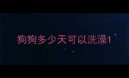 狗狗多少天可以洗澡