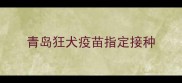 青岛狂犬疫苗指定接种