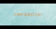 小狗打疫苗打几针
