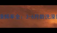 边牧幼犬科学洗澡频率全3-6月龄洗澡指南与养护要点