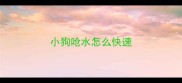 小狗呛水怎么快速