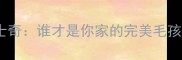 雪瑞纳VS哈士奇谁才是你家的完美毛孩子全攻略
