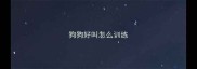 狗狗好叫怎么训练