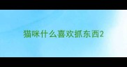 猫咪什么喜欢抓东西