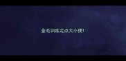 金毛训练定点大小便