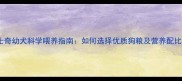 哈士奇幼犬科学喂养指南如何选择优质狗粮及营养配比全