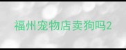 福州宠物店卖狗吗