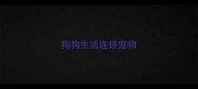 狗狗生活连锁宠物