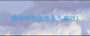 猫咪体外驱虫多久有效