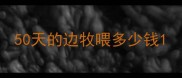 50天的边牧喂多少钱
