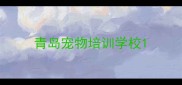 青岛宠物培训学校