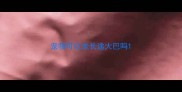 宠物可以坐长途大巴吗
