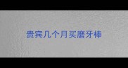 贵宾几个月买磨牙棒