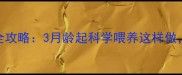 秋田犬幼犬期饲养全攻略3月龄起科学喂养这样做健康活泼不挑食