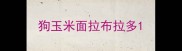 狗玉米面拉布拉多