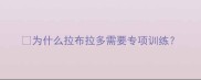 为什么拉布拉多需要专项训练