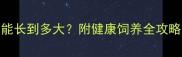 混血拉布拉多能长到多大附健康饲养全攻略附对比图