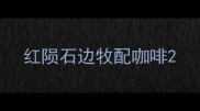 红陨石边牧配咖啡
