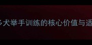 拉布拉多犬举手训练的核心价值与适用场景