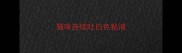猫咪连续吐白色粘液