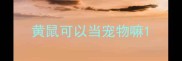 黄鼠可以当宠物嘛