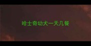 哈士奇幼犬一天几餐