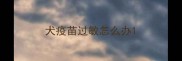 犬疫苗过敏怎么办