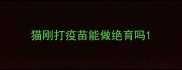 猫刚打疫苗能做绝育吗