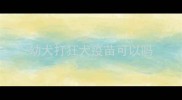 幼犬打狂犬疫苗可以吗