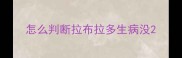 怎么判断拉布拉多生病没