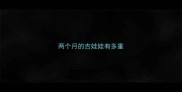 两个月的吉娃娃有多重